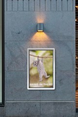 Hang In There! Cat Retro Motivational Poster 12×18