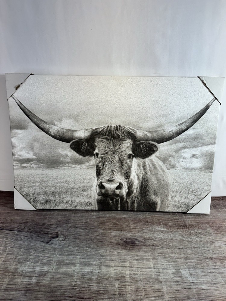 Longhorn Black & White Landscape Canvas Décor Wall Art Home Decoration.