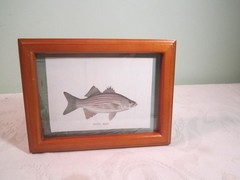 Vintage 1961 Tom Dolan Bass Fishing Framed Color Painting Picture Print (1)