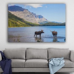 Moose in Montana Mountains Lakes Canvas Wall Art Print