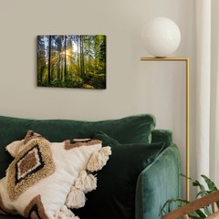 Sunrise Forest Canvas Wall Art for Living Room Nature Landscape Pictures Wall…