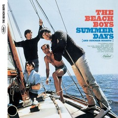 Beach Boys Summer Days Print 12×12 Music Album Cover Wall Art Decor