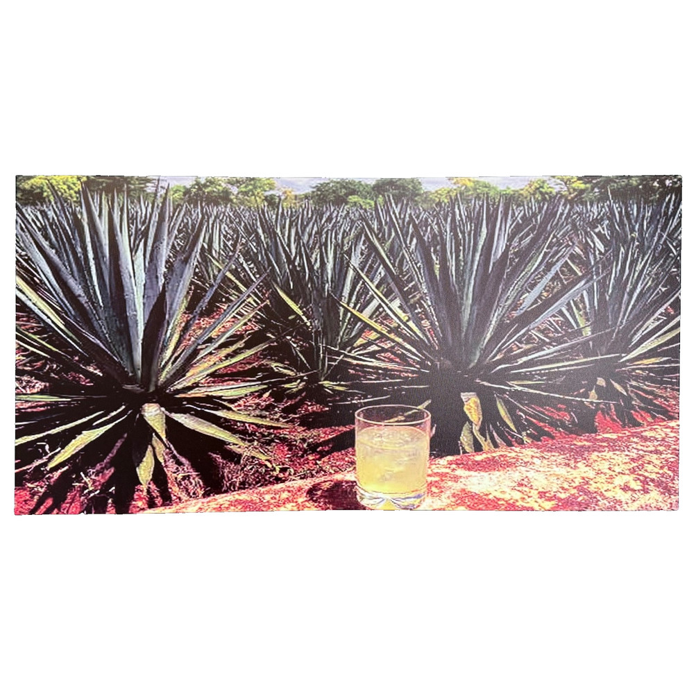 Weone Artwork Agave Plantation Canvas Wall Print 24″x48″ Mezcal Tequila Decor