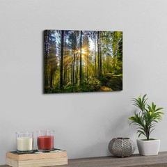 Sunrise Forest Canvas Wall Art for Living Room Nature Landscape Pictures Wall…