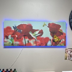 LED Backlit Original Art on Print Insects Birds Flowers Nature Modern Wall Art