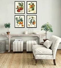 Fruit Botanical Wall Art Set 4 Prints Beautiful Vintage Antique Apple Unframed