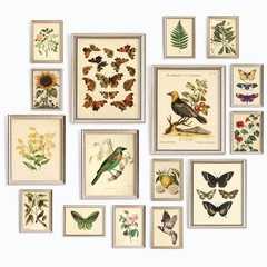 LARGE 11×14 Vintage Botanical Wall Art Decor – Plant Posters For Room Aesthet…
