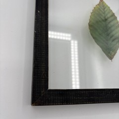 Farmhouse Clear Glass Leaf Picture Gold Chain Black Wood Frame Nature Spa