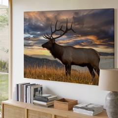 Majestic Elk Stands Proudly In A Golden Field, Its Impressive Antlers Wall Art