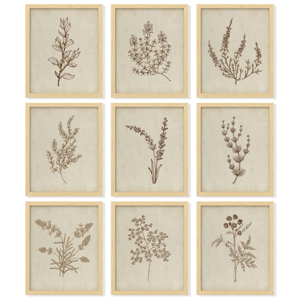 Botanical Wall Art – Vintage Botanical Prints, Plant Art Wall Decor, Neutral …