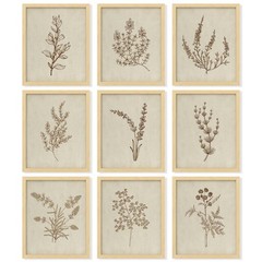 Botanical Wall Art – Vintage Botanical Prints, Plant Art Wall Decor, Neutral …