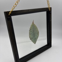 Farmhouse Clear Glass Leaf Picture Gold Chain Black Wood Frame Nature Spa