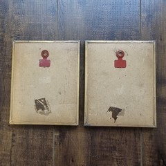 Vintage Botanical Floral Litho Prints Set of 2 Metal Framed Cottage Wall Art MCM