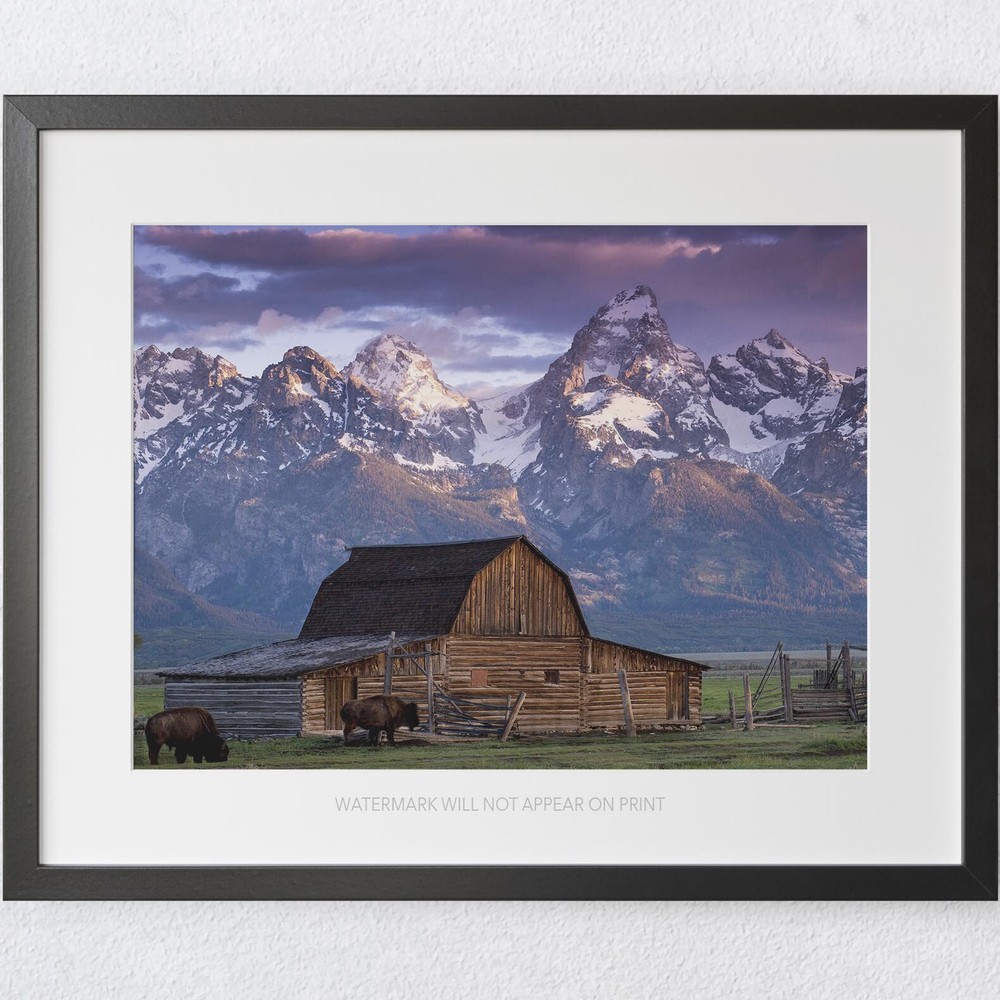 Old Barn in Grand Teton National Park Mountain Landscape Premium Art Print