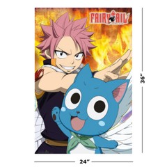 Fairy Tail – Manga / Anime TV Show Poster (Natsu & Happy) (Size: 24″ x 36″)