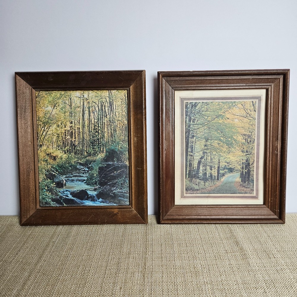 Vintage Framed Forest Prints Cottage Country Wall Art Rustic Farmhouse Decor