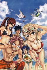 Fairy Tail Characters Anime Poster print 11″x17″ inches home decor