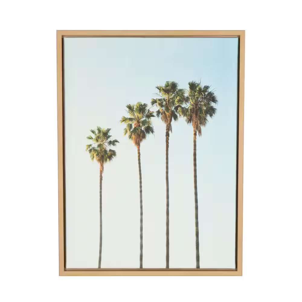 24 In. X 18 In. «Four Palm Trees» by Tai Prints Framed Canvas Wall Art