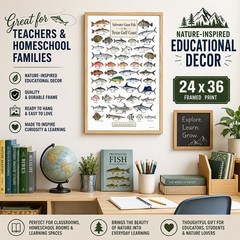 Texas Gulf Coast Fish Framed Poster 24×36 – Saltwater Fishing Chart