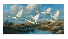 Flying Swans Canvas Print Wildlife Landscape Blue Sky Realistic Bird Wall Art