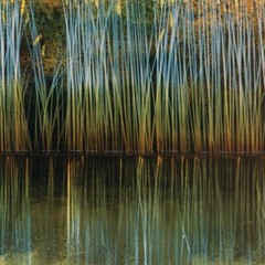 48W»x24H» RIVERBANK REFLECTIONS by ROBERT HOLMAN – LONG GRASS CHOICES of CANVAS
