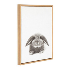 24 In. X 18 In. «Rabbit» by Tai Prints Framed Canvas Wall Art
