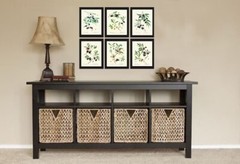 Olive Botanical Wall Art Set of 6 Prints Beautiful Antique Vintage Unframed