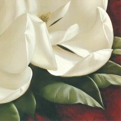 48W»x32H» MAGNOLIA CRIMSON I by IGOR LEVASHOV – FULL BLOOM CHOICES of CANVAS