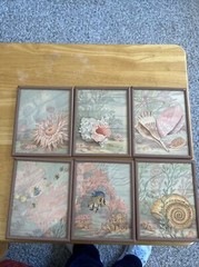 6 Small 4 x 5” pictures of In The Ocean would be great for a bathroom