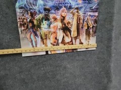 Final Fantasy Lightning Face Girl Video Game Wall Art Home Décor Laminate Poster