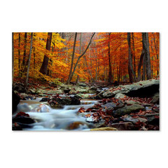 22 In. X 32 In. Ultimate Truth by Cateyes Canvas Wall Art Print