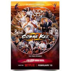 Cobra Kai Season 6 TV Series 2025 Poster Print