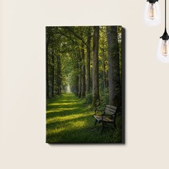 Forest Path Canvas Print Dappled Sunlight Park Bench Landscape