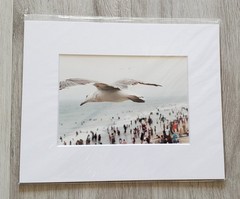 Wall Art Matte Framed Nature Photography Prints