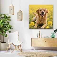 Pet Lover Custom Pet Photo Frameless Canvas Wall Art Gift Home Decor