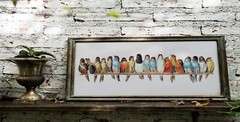 A Perch of Birds On A Wire – Wall Art Print Decor Vintage Bird Lovers Gift Narro