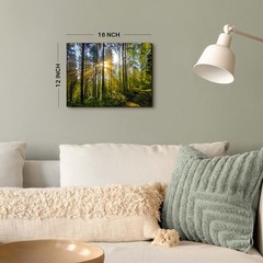 Sunrise Forest Canvas Wall Art for Living Room Nature Landscape Pictures Wall…