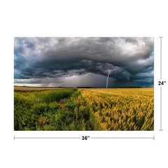 Storm Cloud with Lightning over Wheat Field Photo Art Print Poster 24×36 inch