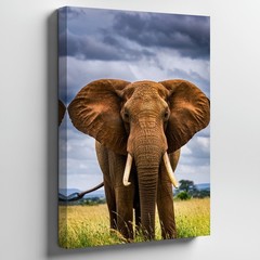 Majestic African Elephant Stands Prominently In Wall Art Canvas Print Home Decor