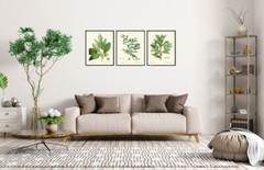 Kitchen Dining Room Wall Art Spices Herbs Bay Leaf Olive Laurel Print Unframed