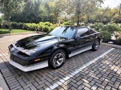 1984 Pontiac Firebird Trans Am T-Tops (Black-Gray) POSTER 24 X 36 INCH Sweet!