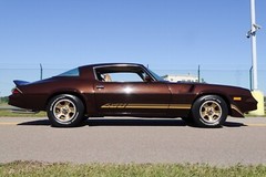 1981 Chevrolet Camaro Z28 drk brn tan | 24×36 inch POSTER | vintage classic car