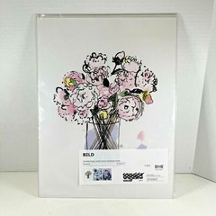 New IKEA BILD FLORAL 3-Prints 12.25 x 16 25» HARDY/FRANCES/JACOBS