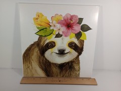 Sloth Tropical Halo Marmont Hill Acrylic Framed Print 12″ x 12″ Stupell Pretty
