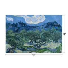 Vincent van Gogh The Olive Trees Cool Wall Decor Art Print Poster 18×12