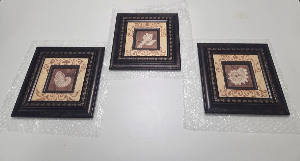 Set of 3 Framed Seashell Wall Art Coastal Beach Decor 9×9