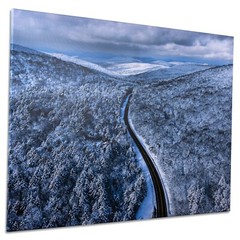 Large Modern Nature Canvas Art for Living Room, Bedroom, Dining Room 24 x 36