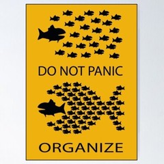NEW! Best Design Do Not Panic Organize – resistance Poster/Sticker/T-Shirt etc