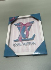 Beautiful Framed Louis Vuitton Wall Art 12”x 15” In Canvas Designer LV Pink Blue