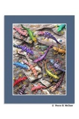 Geckos Lenticular 3D Matted Picture Poster Print Wall Art Home Decor NEW